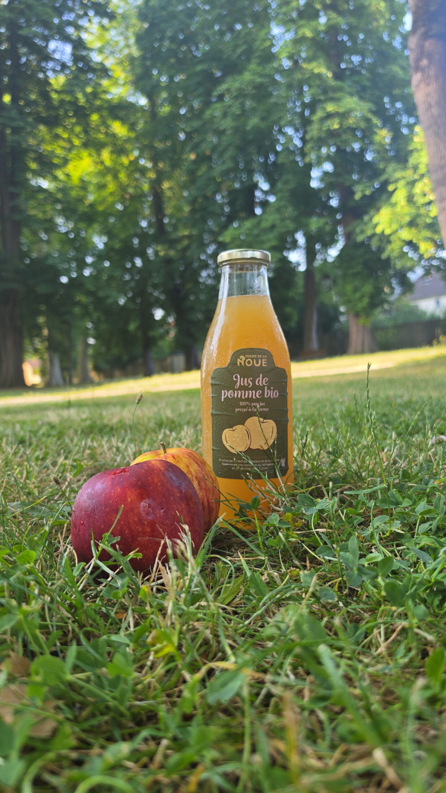 Jus de pomme bio