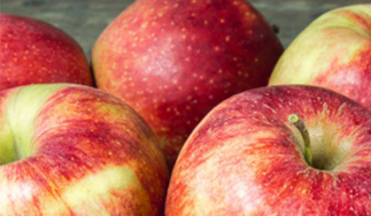 Pommes bio